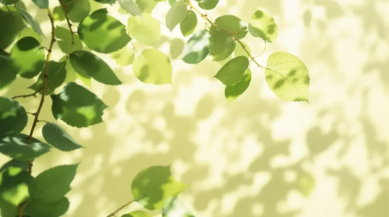 绿瓤影厅·夏梦放映